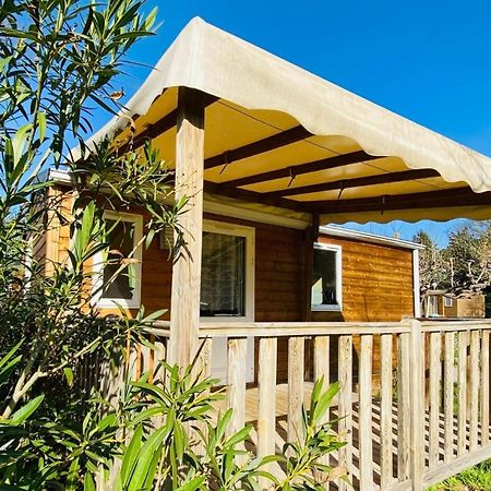 Amelia Camping Amélie-les-Bains-Palalda Eksteriør billede