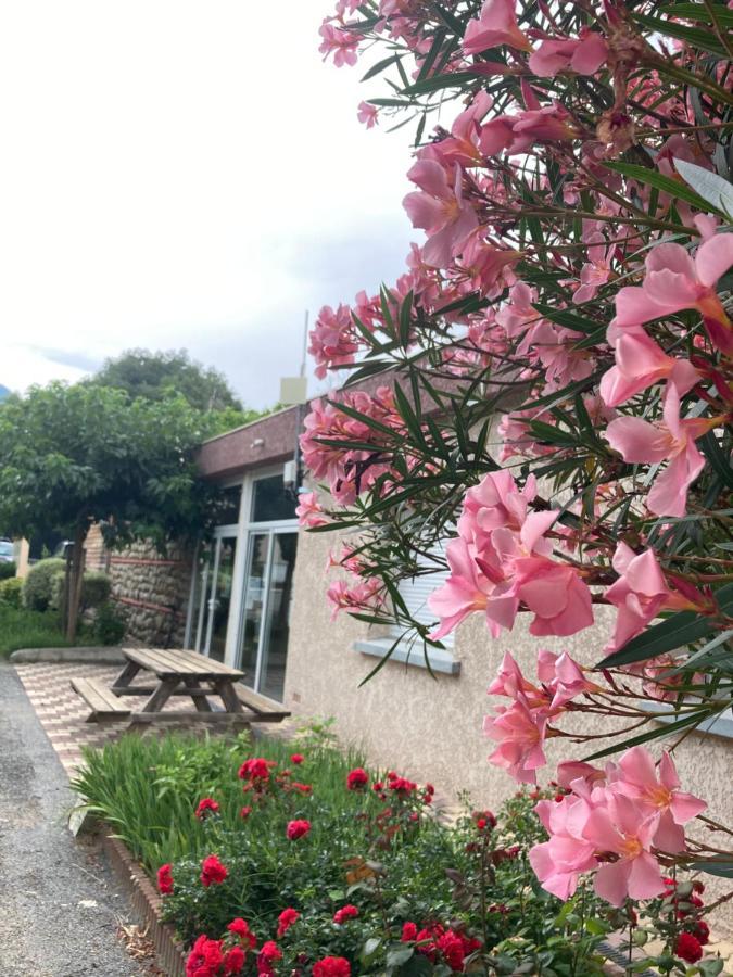 Amelia Camping Amélie-les-Bains-Palalda Eksteriør billede